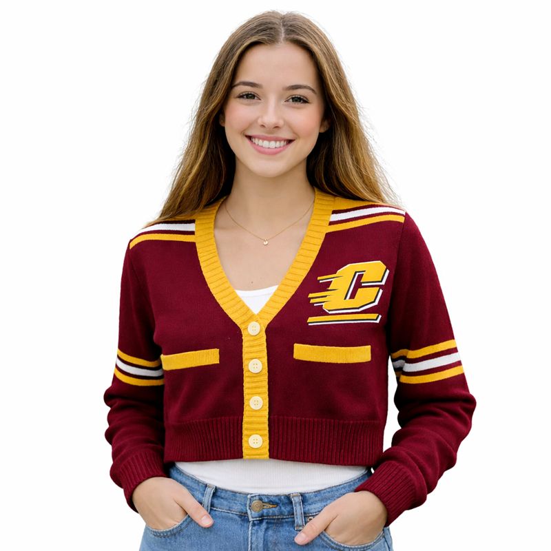 Allover Stripe Varsity Cardigan alternate view